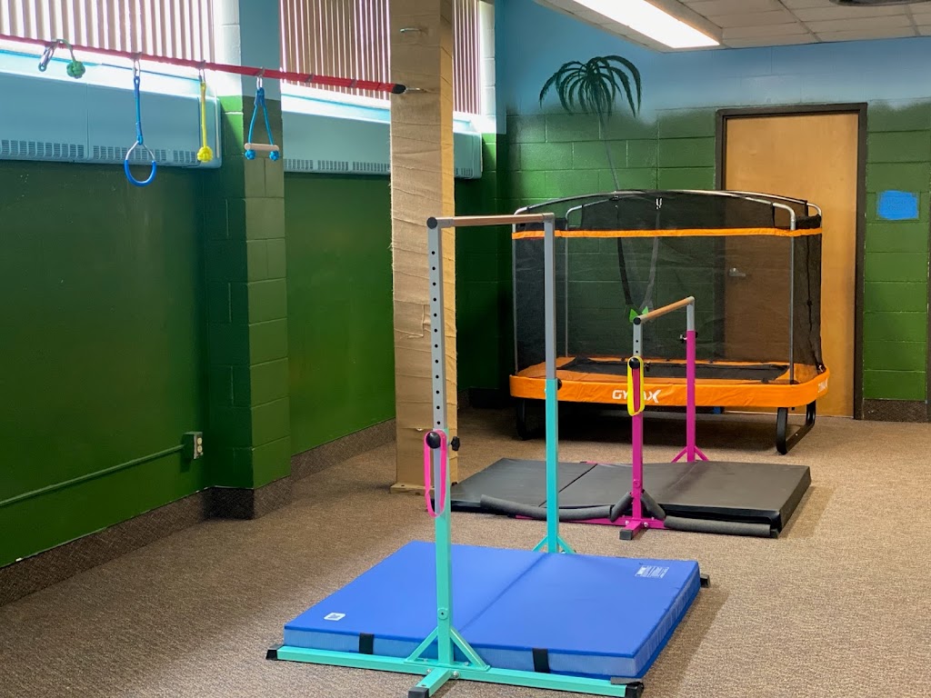 Jungle Gymnastics | 280 Andrews Ave, Center City, MN 55012, USA | Phone: (651) 239-9969