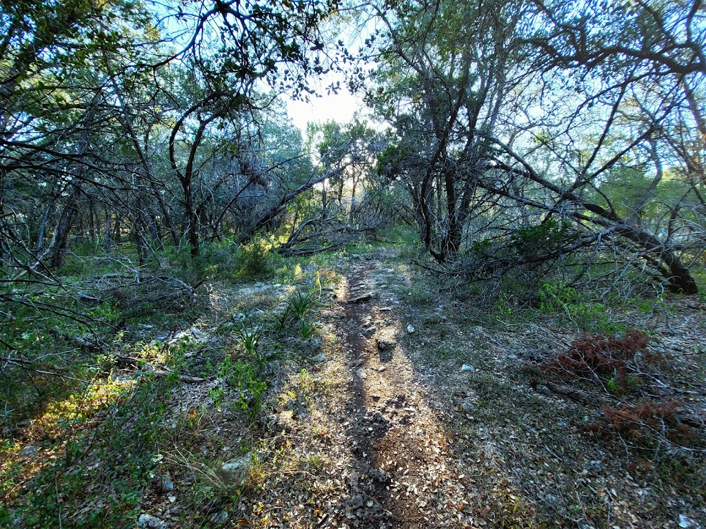 Ringtail Ridge Natural Area | 1814 Ranch to Market 12, San Marcos, TX 78666, USA | Phone: (512) 393-8400