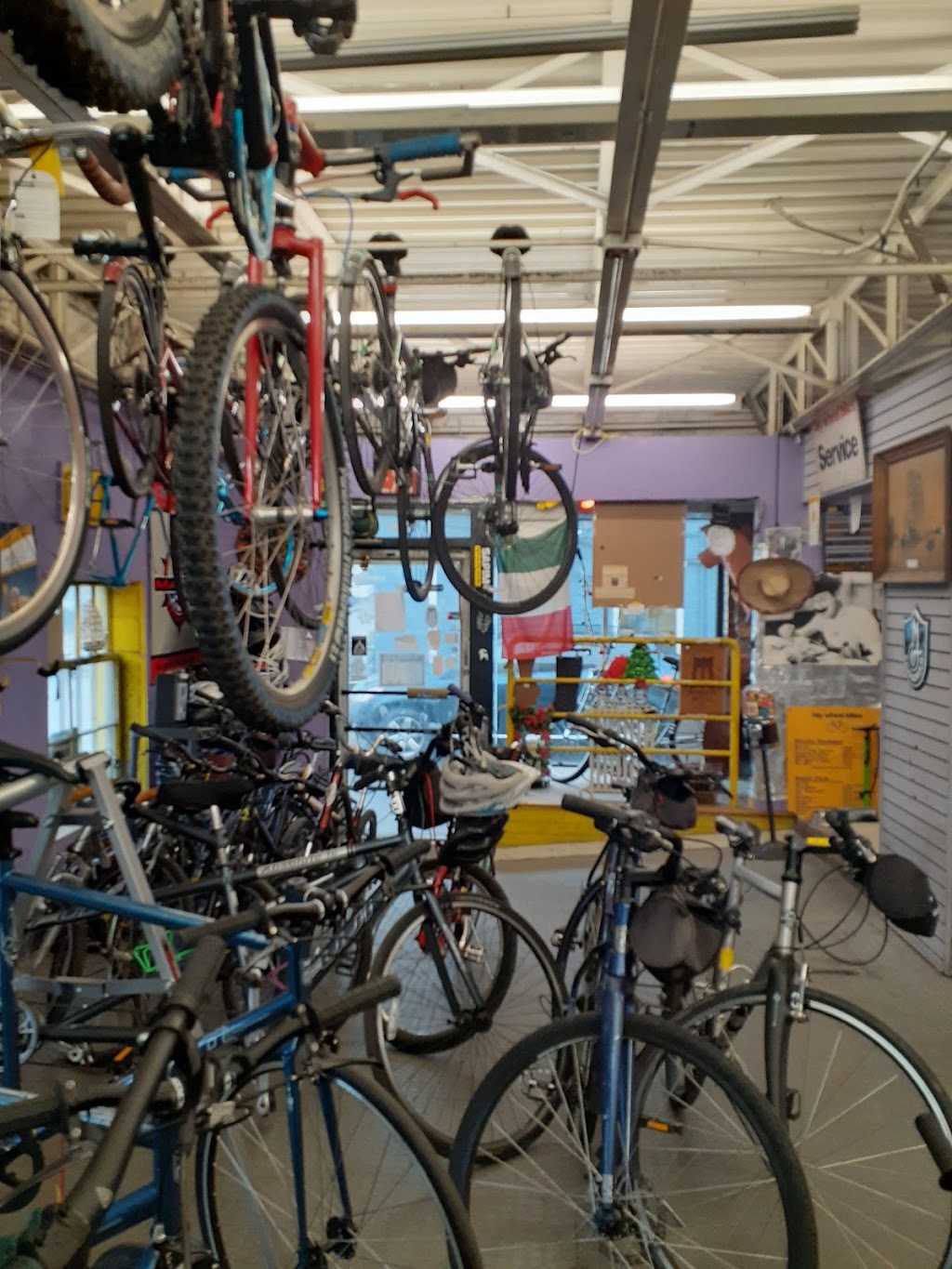 Big Wheel Bikes | 2 Prince St, Alexandria, VA 22314 | Phone: (703) 739-2300