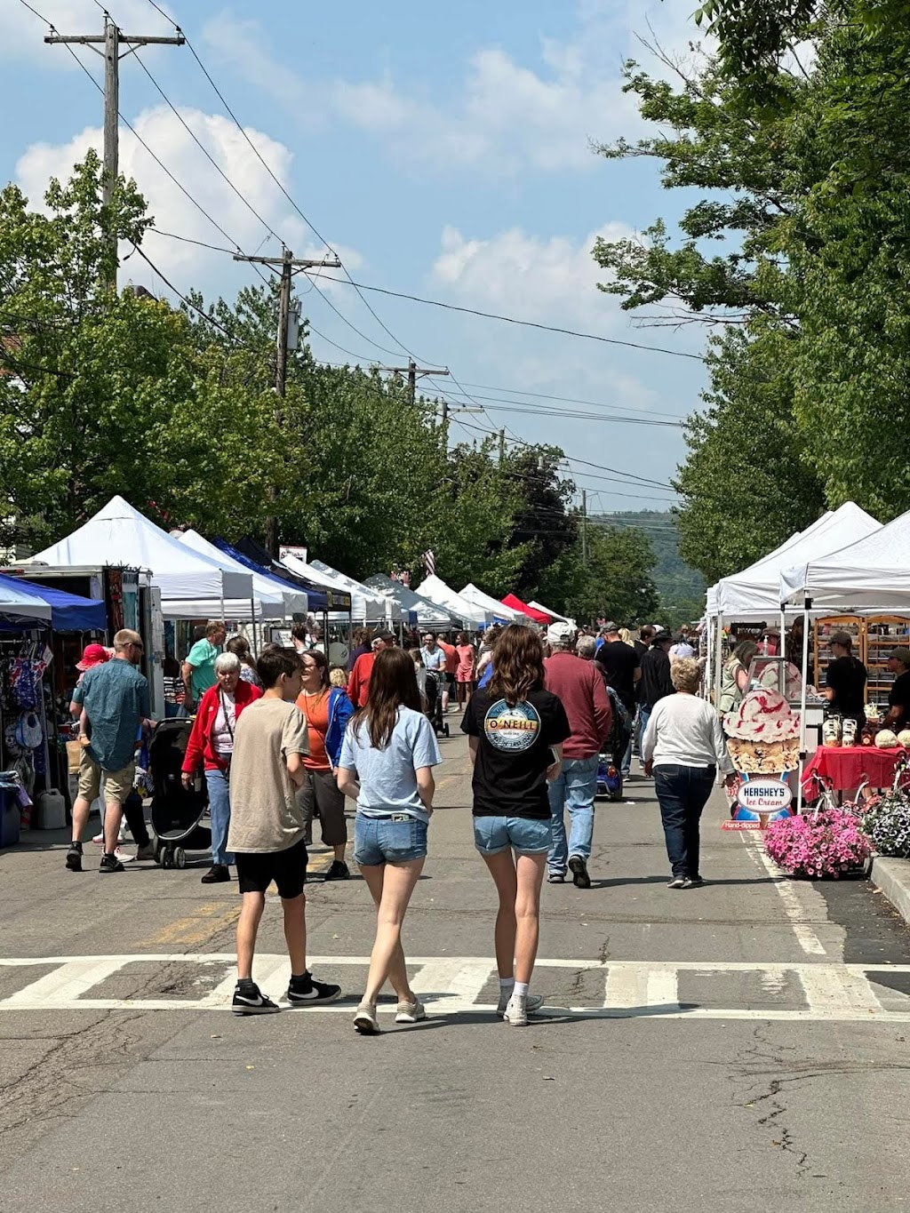 Randolph Auto Supply | 18 Jamestown St, Randolph, NY 14772, USA | Phone: (716) 358-6222