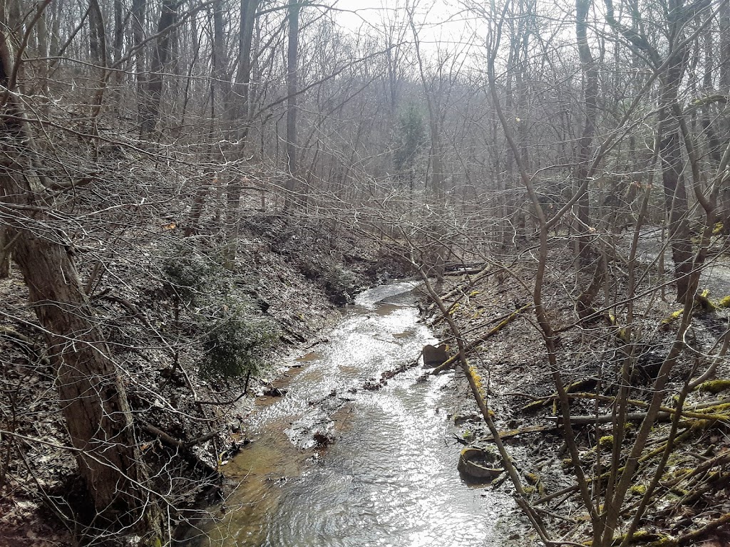 Dead Mans Hollow Conservation Area | 600 Scene Ridge Rd, McKeesport, PA 15133, USA | Phone: (412) 741-2750