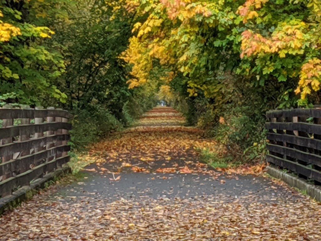 Banks-Vernonia State Trail | Banks-Vernonia State Trail, Vernonia, OR 97064, USA | Phone: (800) 551-6949