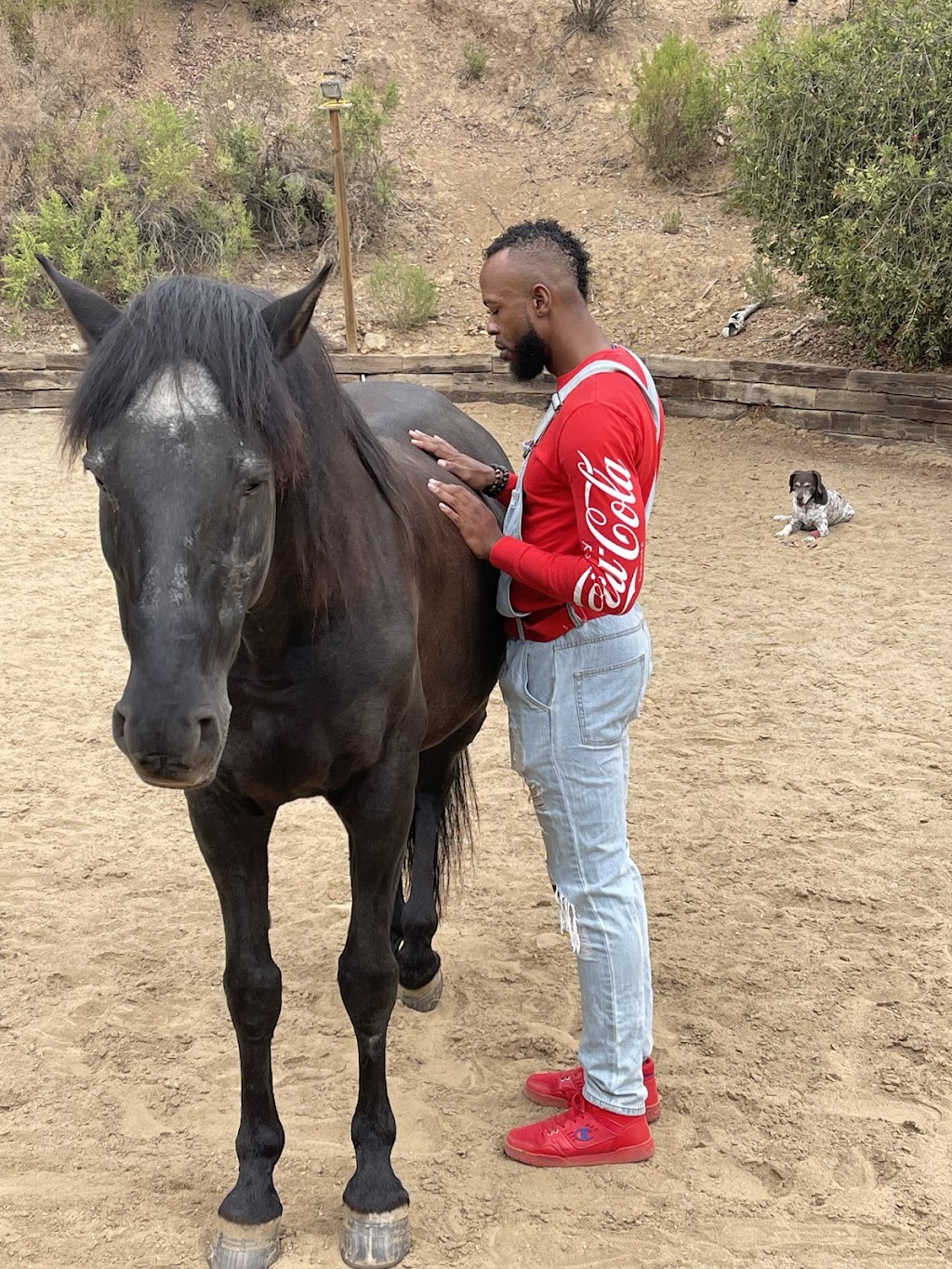 Equine Leadership Program | Hawks Nest Trail, Topanga, CA 90290 | Phone: (310) 980-9697