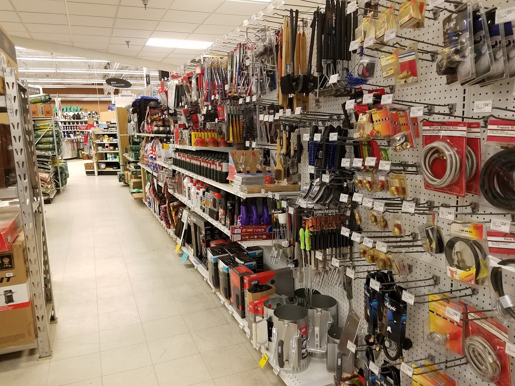 Ace Hardware & Rental - Scottsdale | 10300 N Scottsdale Rd, Scottsdale, AZ 85253, USA | Phone: (480) 368-8343