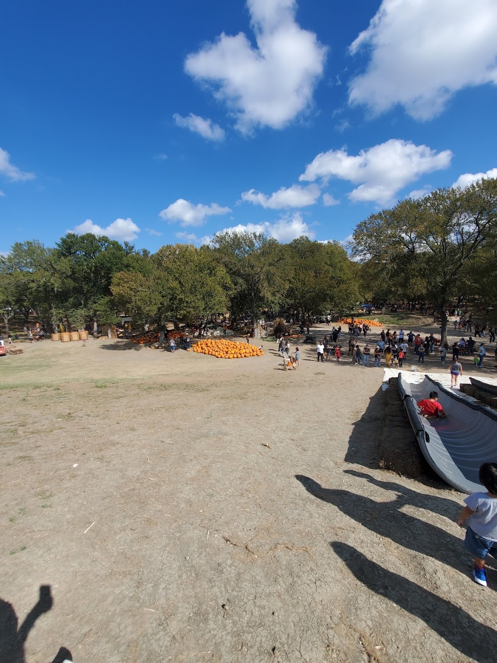 Shadow Creek Pumpkin Farm | 99.0959.000.016.99.108, Midlothian, TX 76065, USA | Phone: (469) 612-3331