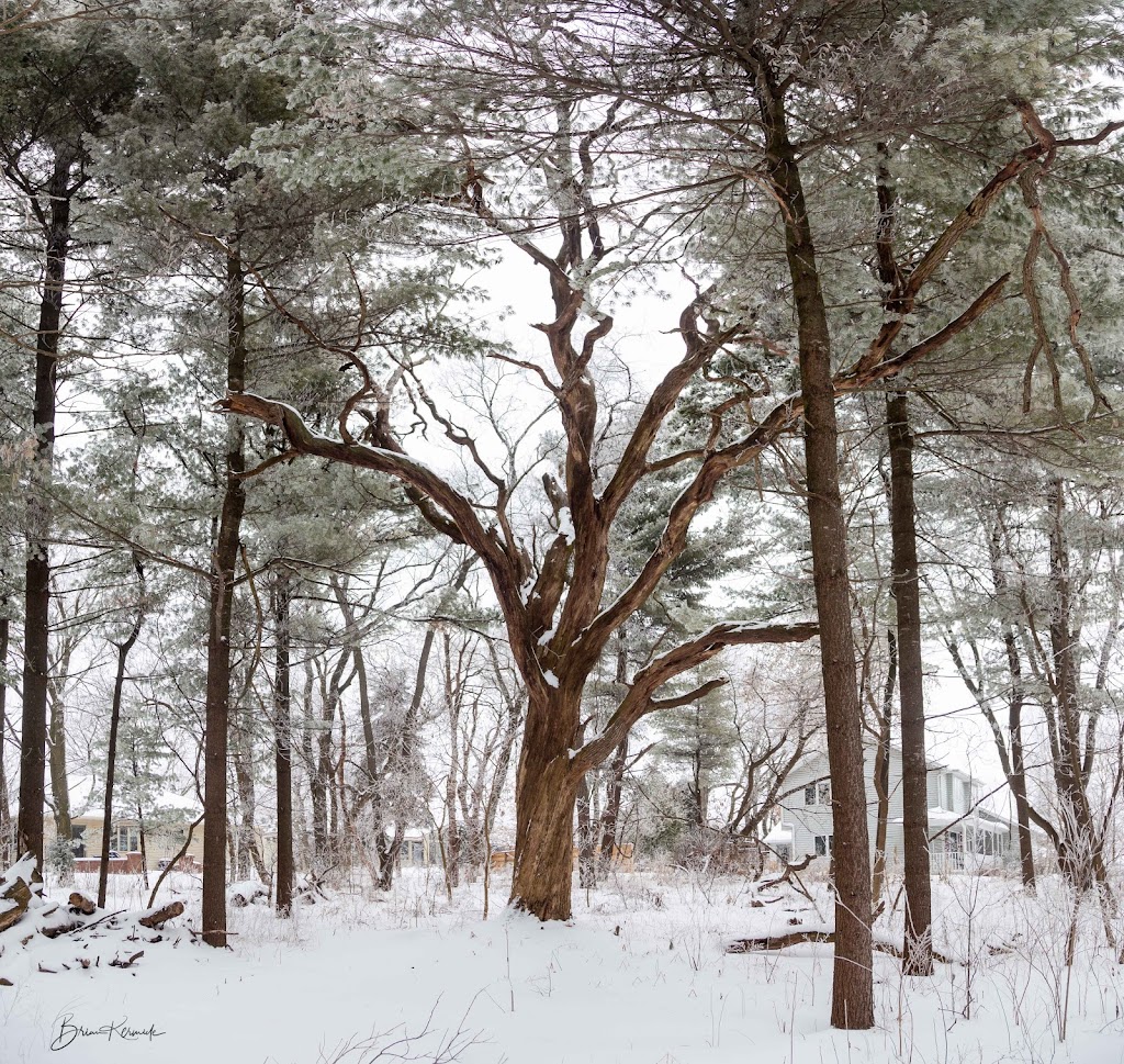 Anderson Farm County Park | 914 Union Rd, Oregon, WI 53575, USA | Phone: (608) 224-3730