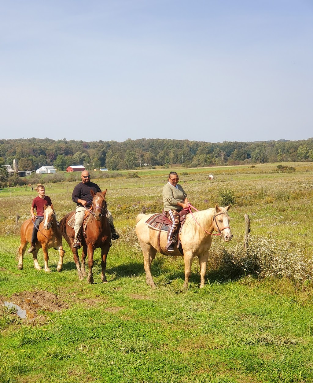 Boyd Family Ranch | 8448 N Otto Rd, Cattaraugus, NY 14719, USA | Phone: (716) 713-1699