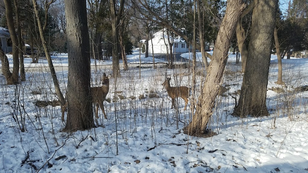 Three Rivers Park District | 4610 County Rd 44, Excelsior, MN 55331, USA | Phone: (952) 474-0070