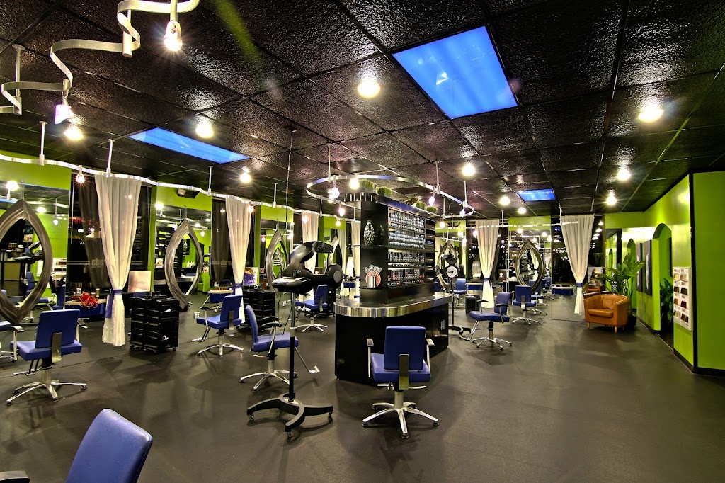 dsparada Color Salon | 6520 Falls of Neuse Rd Suite 100, Raleigh, NC 27615, USA | Phone: (919) 346-7342