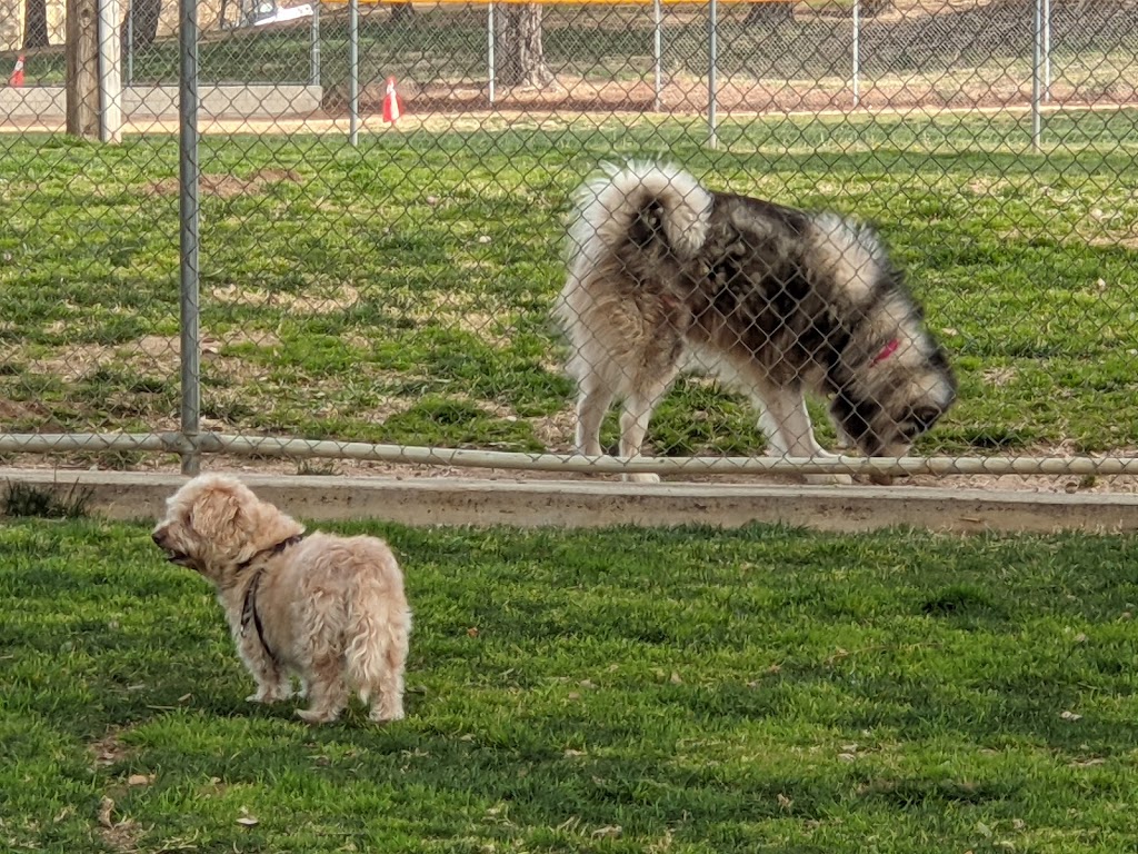 Noble Dog Park | 390 Oak Valley Pkwy, Beaumont, CA 92223 | Phone: (909) 915-0631