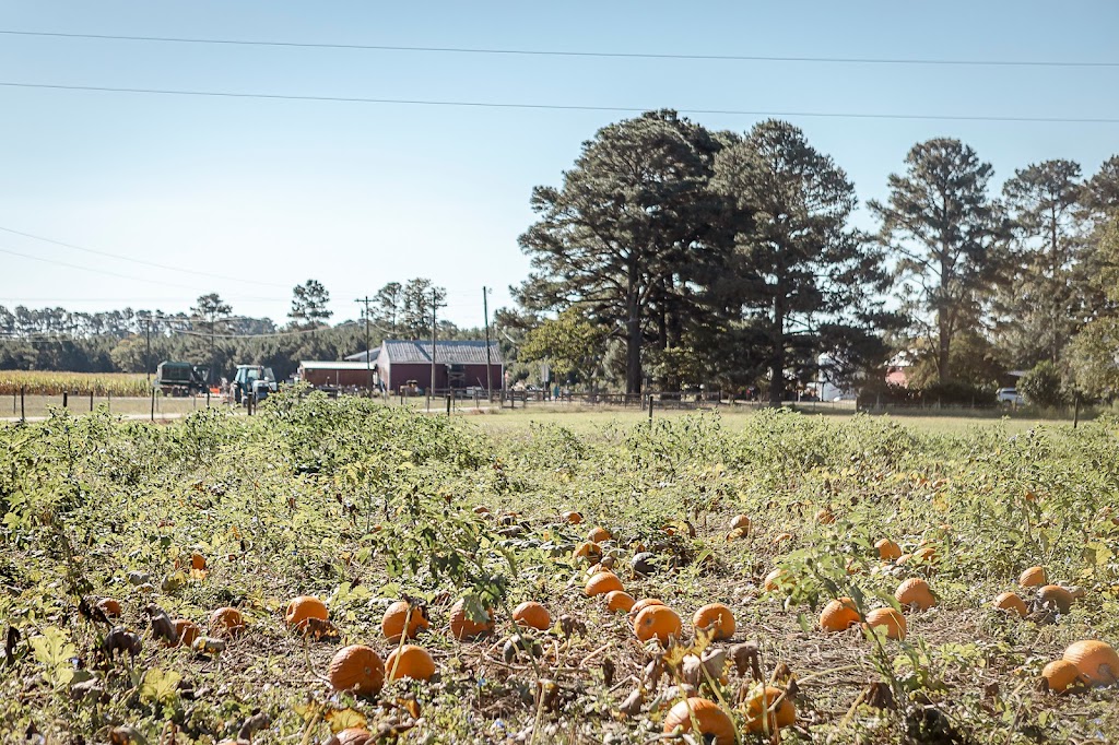 Dardens Country Store | 16249 Bowling Green Rd, Smithfield, VA 23430, USA | Phone: (757) 357-6791