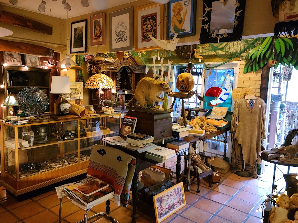 Oddities And Antiques | 1764 Clearwater Largo Rd, Clearwater, FL 33756 | Phone: (727) 793-5088