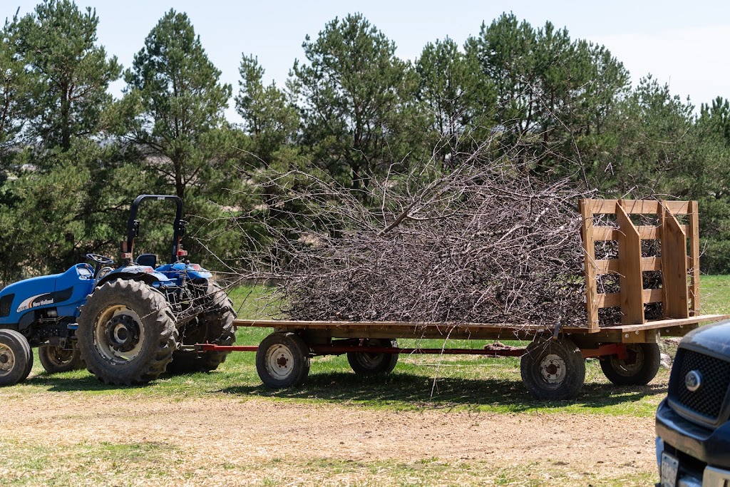 Gysland Brothers Farm | 486 220th St W, Jordan, MN 55352, USA | Phone: (952) 913-5553