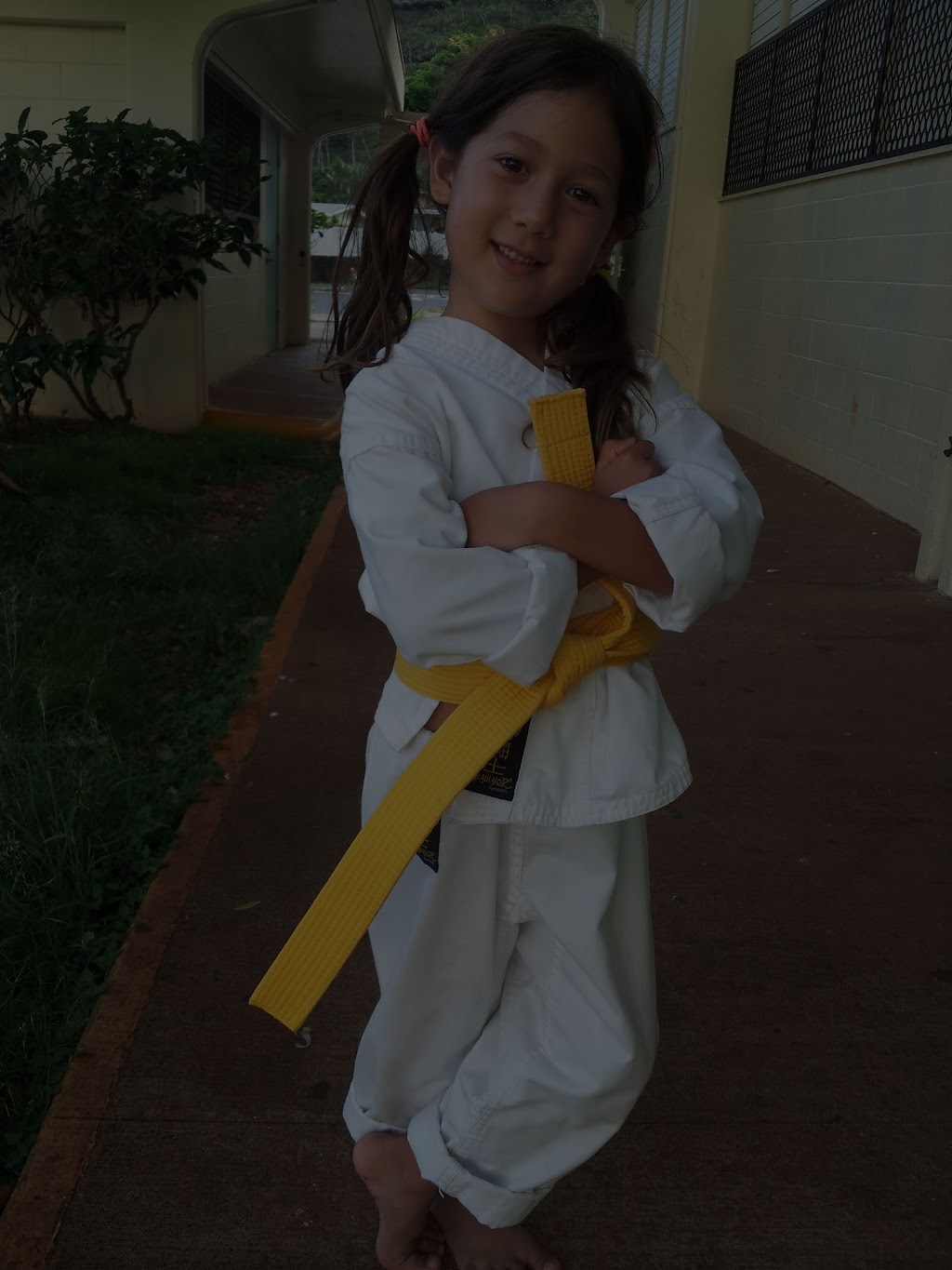 Japan Karate Association Hawaii | 595 Pepeekeo St, Honolulu, HI 96825, USA | Phone: (808) 395-7511