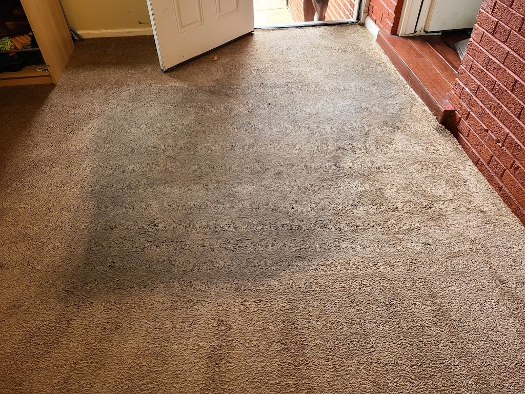 Reliable carpet cleaning | 11439 Cherry Hill Rd, Beltsville, MD 20705, USA | Phone: (240) 505-3572