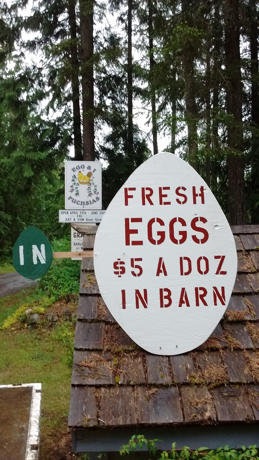 Egg and I Gardens | 2027 Egg and I Rd, Chimacum, WA 98325, USA | Phone: (360) 821-2589