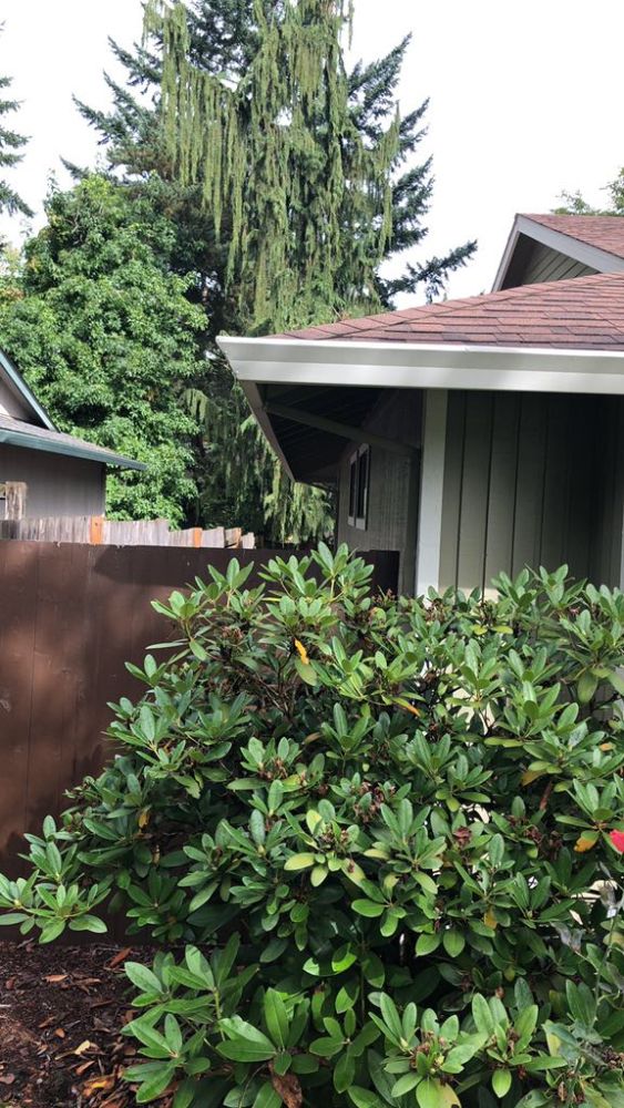 Precision Roofing & Gutters | 12700 SW Hall Blvd C, Tigard, OR 97223, USA | Phone: (503) 926-6194