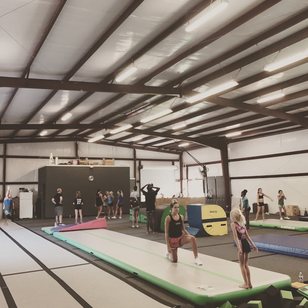 Stunt and Tumble | 1613 Allison Woods Ln, Tampa, FL 33619, USA | Phone: (813) 546-9379