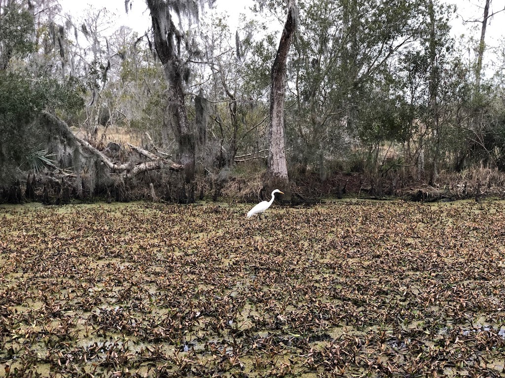 Barataria Preserve | 6588 Barataria Blvd, Marrero, LA 70072, USA | Phone: (504) 589-3882