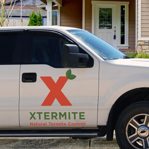 Xtermite Inc | 10107 Prospect Ave B, Santee, CA 92071, USA | Phone: (619) 542-8582