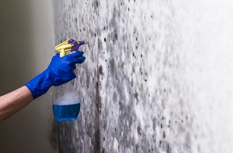 Nashville Mold Removal Pros | 310 Church St, Nashville, TN 37201 | Phone: (615) 326-6421