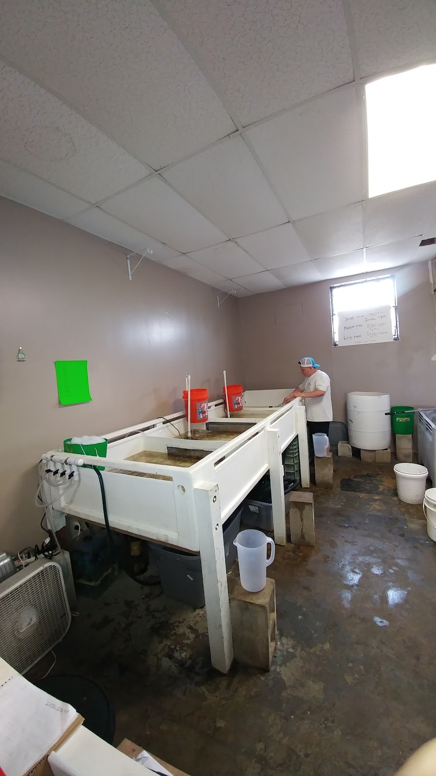 Bait and Tackle of Apollo Beach | 6040 N U.S. Hwy 41, Apollo Beach, FL 33572, USA | Phone: (813) 296-7735