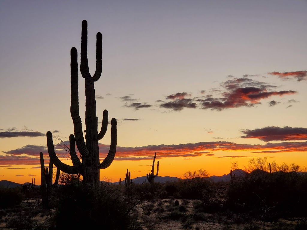 Desert Willow Park | 4040 E Desert Willow Pkwy W, Cave Creek, AZ 85331, USA | Phone: (602) 262-6696