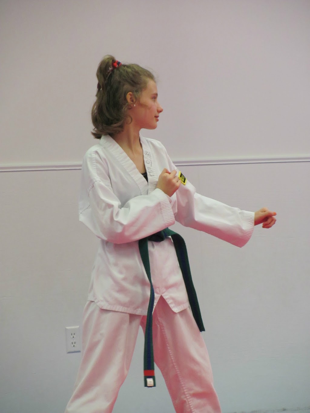 Taekwon Park Martial Arts | 13987 Raised Antler Cir, Midlothian, VA 23112, USA | Phone: (804) 739-9897