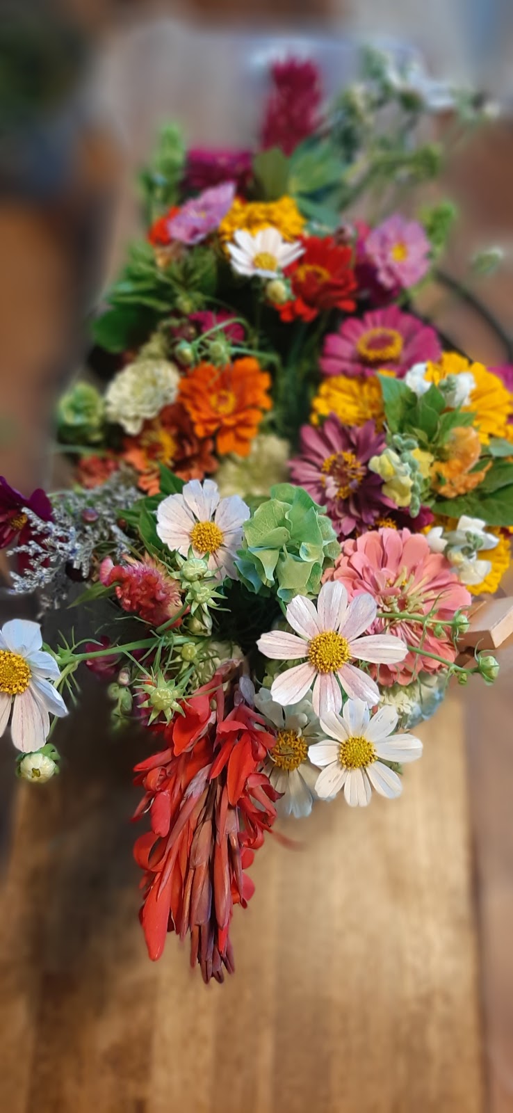 Farmhouse Blooms and Bounty | 685 County Rd A, Ashland, NE 68003, USA | Phone: (402) 312-0823