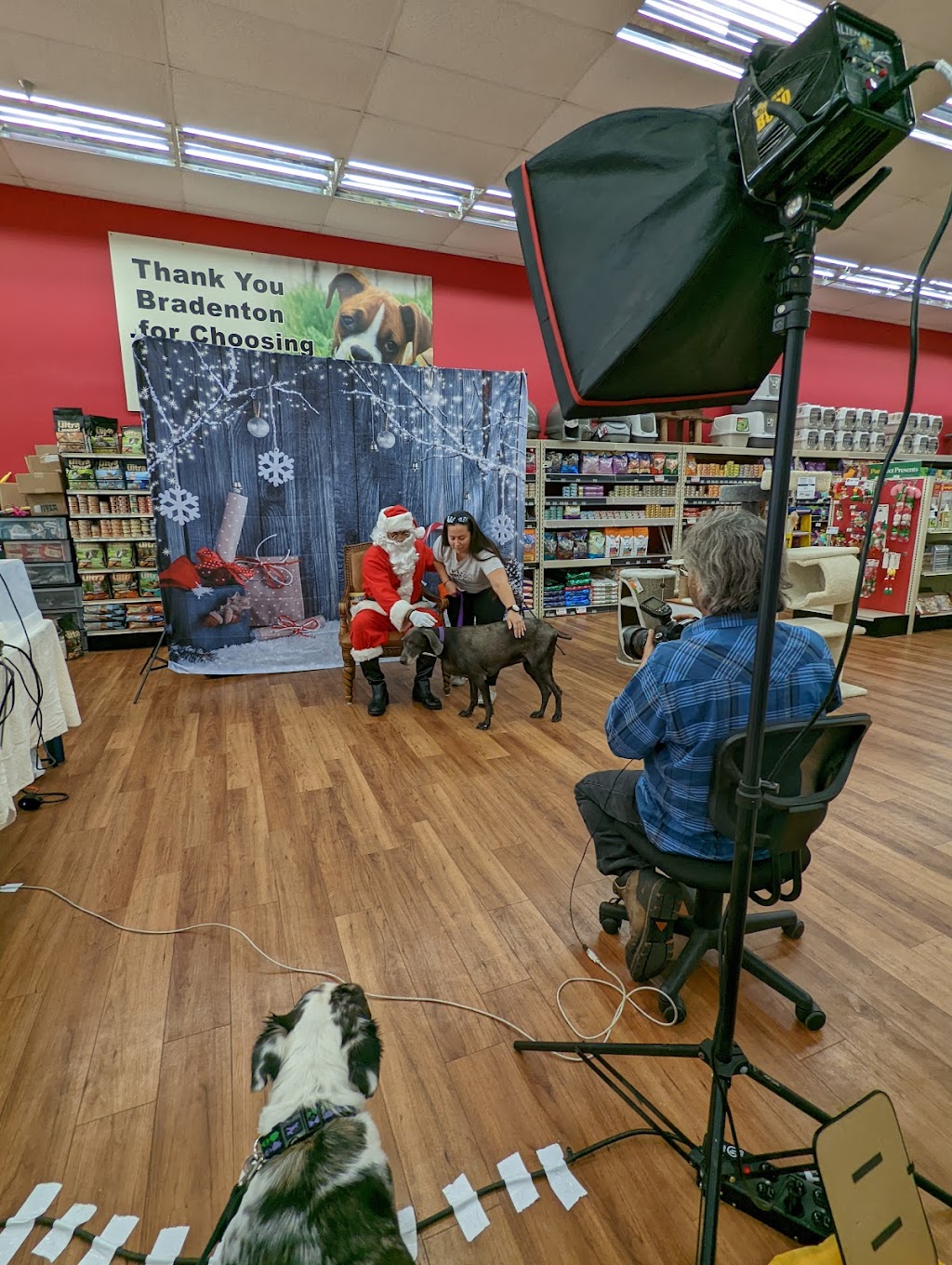 Pet Supermarket | 4315 26th St W, Bradenton, FL 34205, USA | Phone: (941) 758-4411