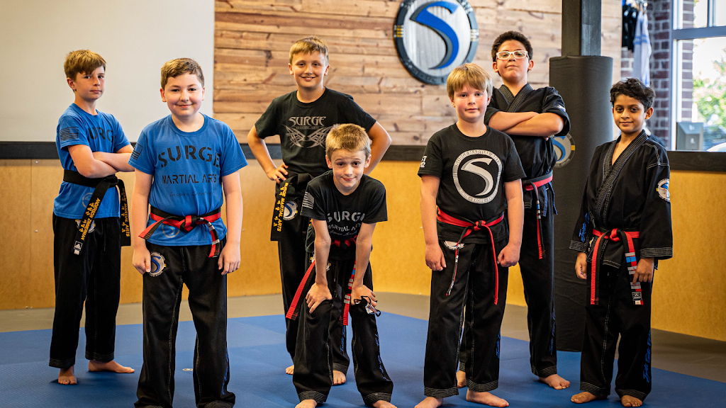 Surge Martial Arts | N56W14044 Silver Spring Dr #108, Menomonee Falls, WI 53051, USA | Phone: (262) 391-6306