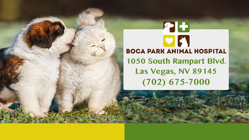 Boca Park Animal Hospital | 1050 S Rampart Blvd, Las Vegas, NV 89145, USA | Phone: (702) 675-7000