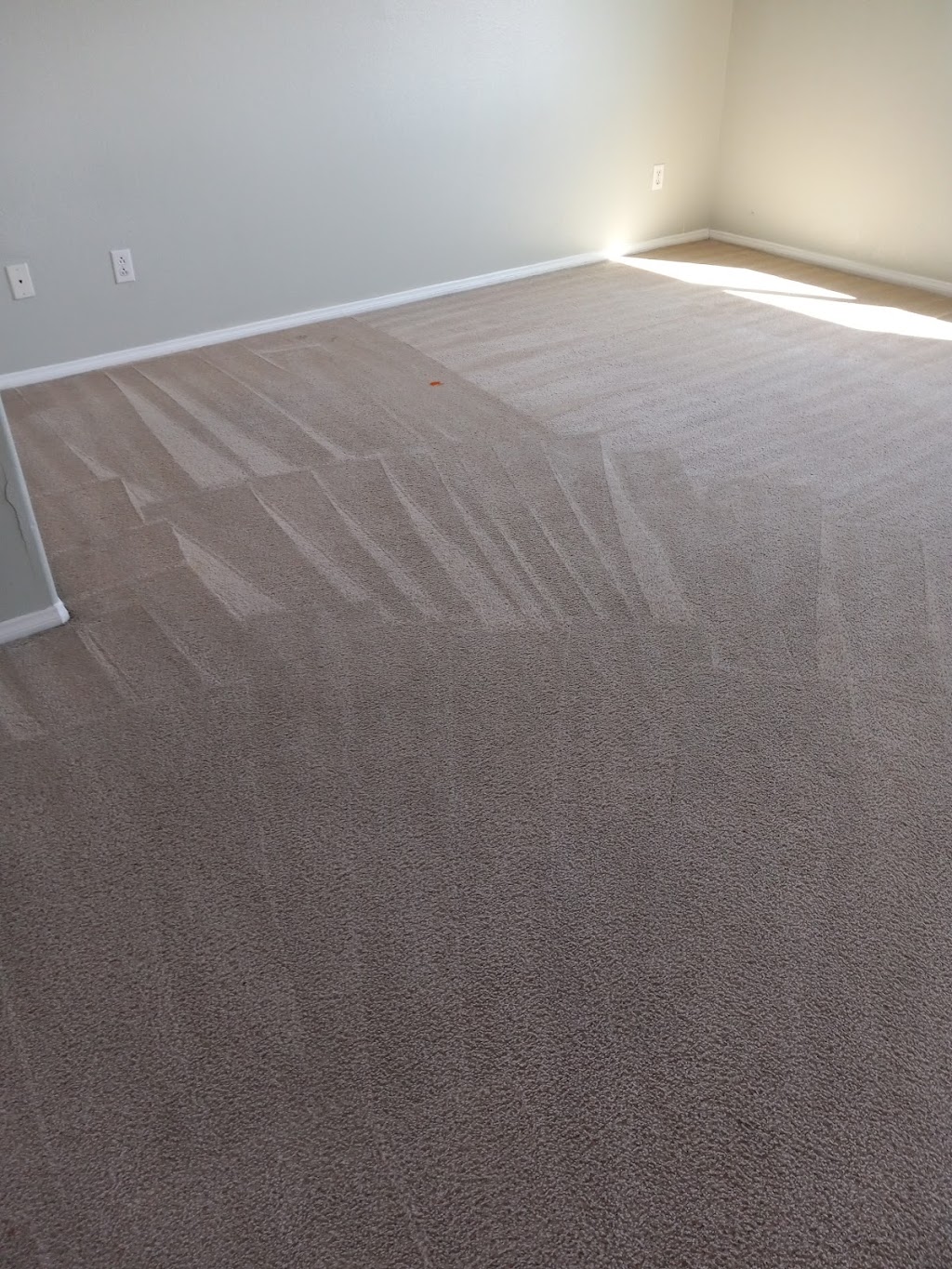 Vigils Carpet and cleaning services | 17000 Allthorn St, Hesperia, CA 92345, USA | Phone: (562) 296-7046