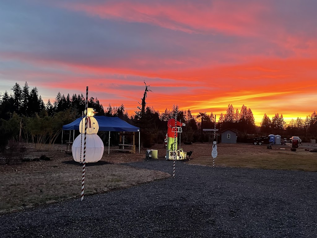 Bobz Tree Farm | 21735 S Springwater Rd, Estacada, OR 97023, USA | Phone: (503) 631-4585