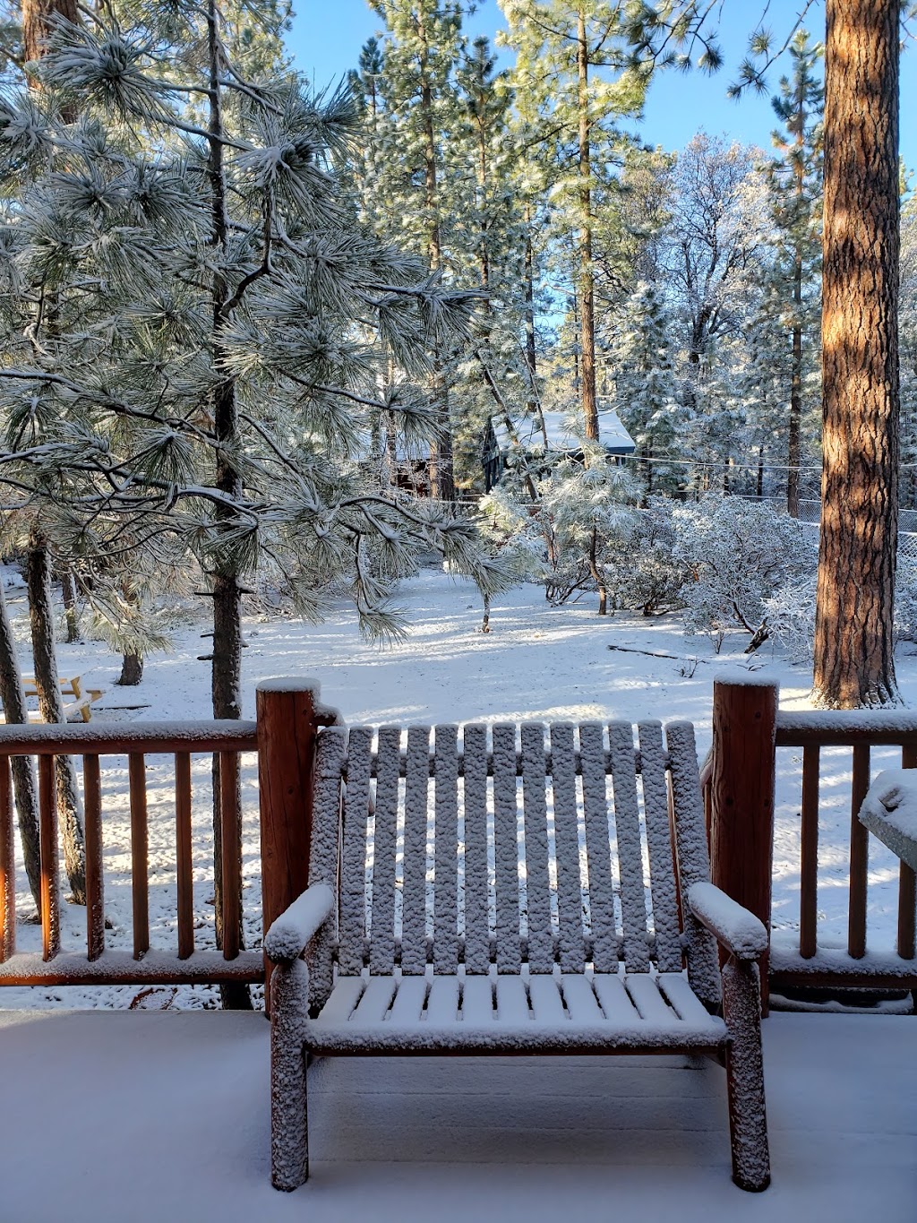 Summit Adventure Cabin | 681 St Moritz Dr, Big Bear Lake, CA 92315, USA | Phone: (909) 866-7374