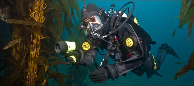 Scuba Education Amsterdam | Anton de Komplein 157, 1102 DR Amsterdam, Netherlands | Phone: 06 51676979