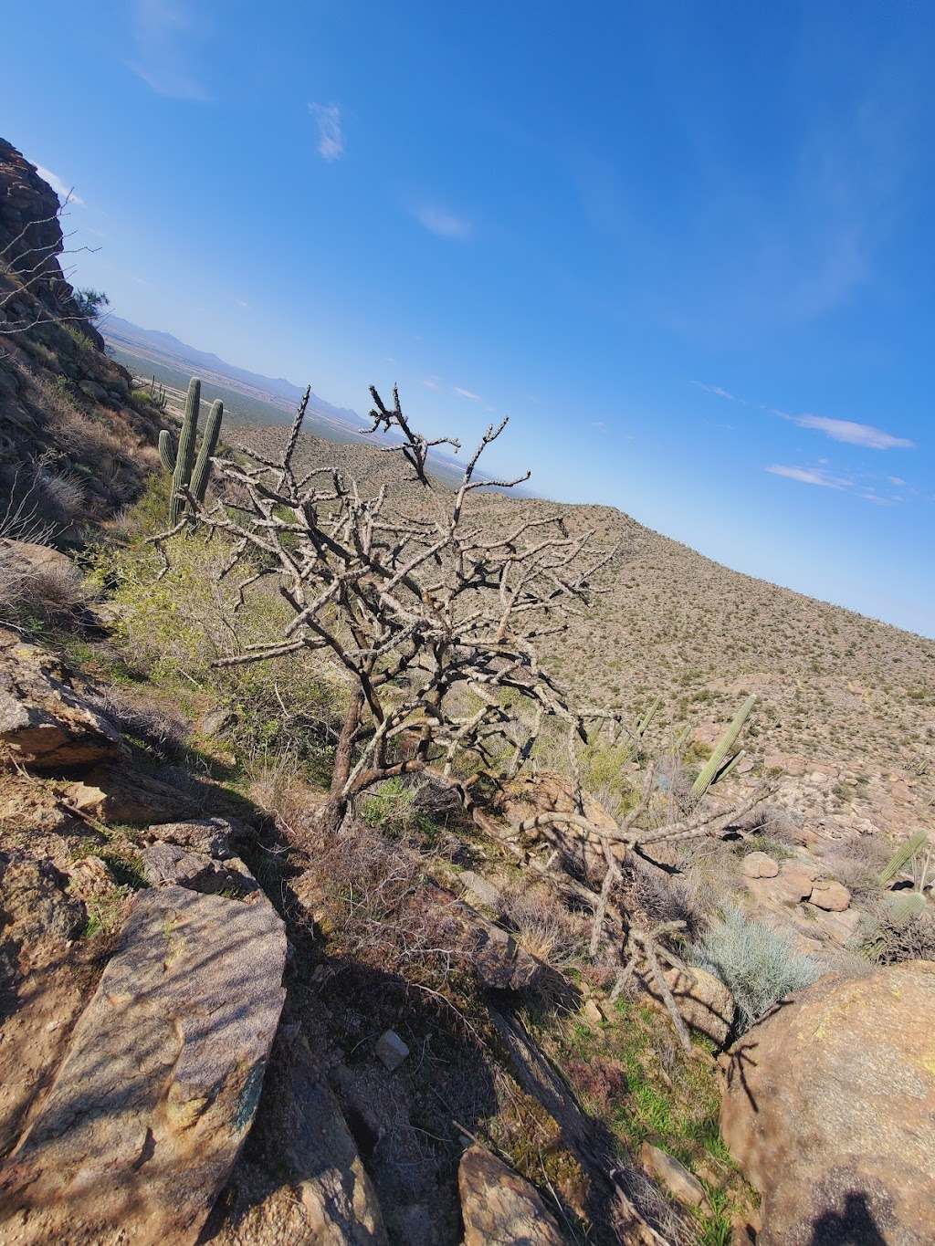 Upper Javelina Trailhead | Marana, AZ 85658, USA | Phone: (520) 572-3000