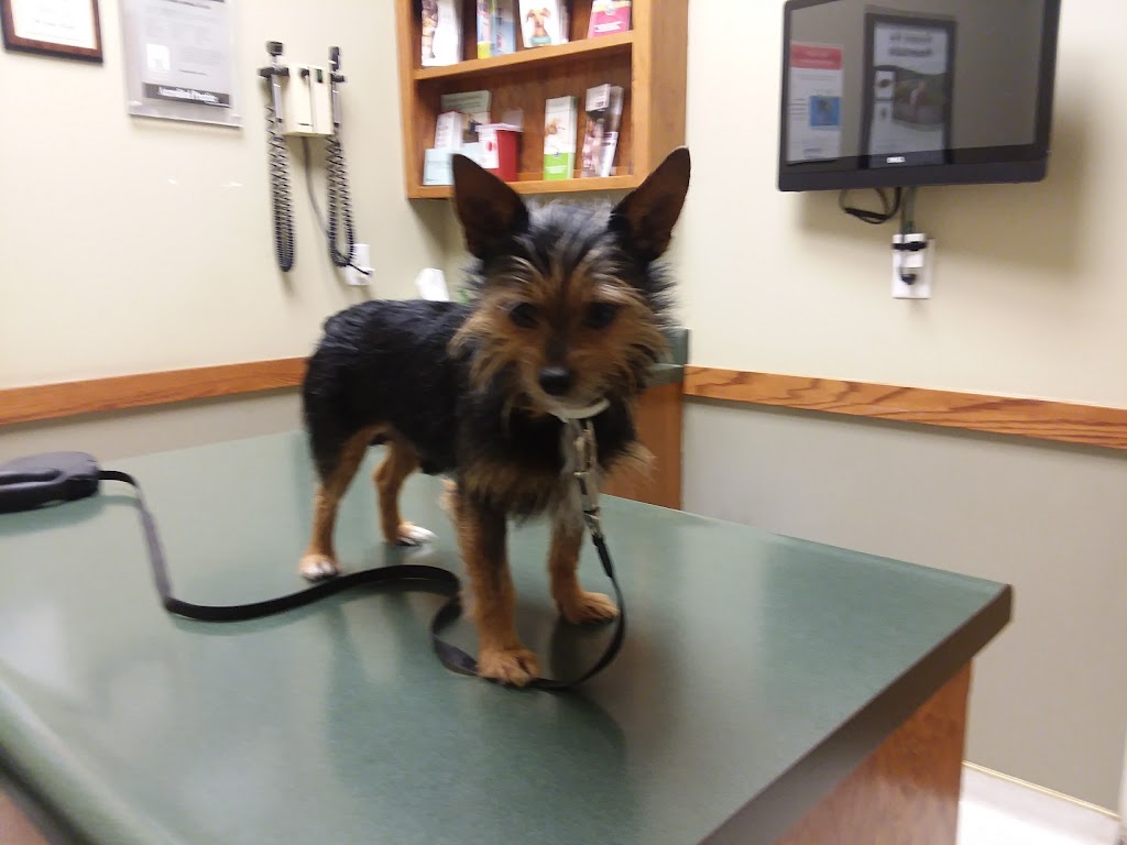 Mill Creek Animal Hospital | 13428 W 62nd Terrace, Shawnee, KS 66216, USA | Phone: (913) 268-0900