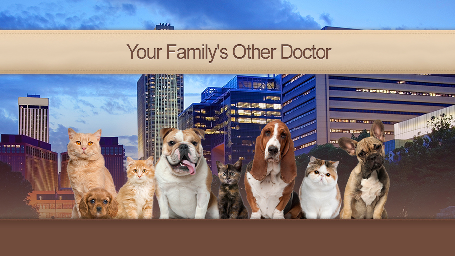 Omaha Animal Medical Group | 3316 N 120th St, Omaha, NE 68164, USA | Phone: (402) 496-6075