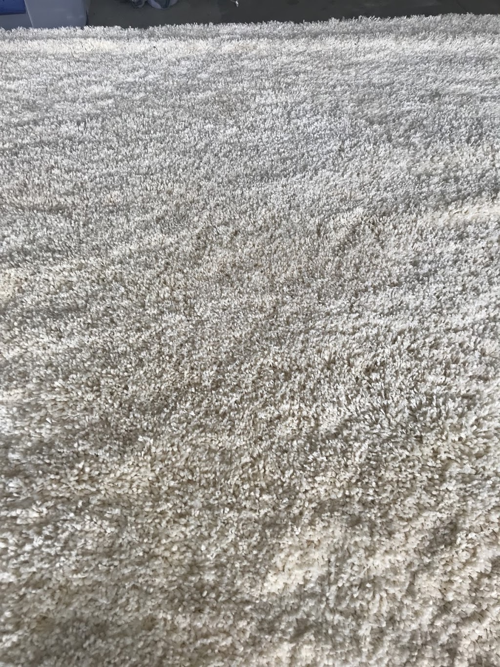 Kaufmans Carpet Clean | 2500 E Green Canyon Dr, Meridian, ID 83642, USA | Phone: (208) 887-1681
