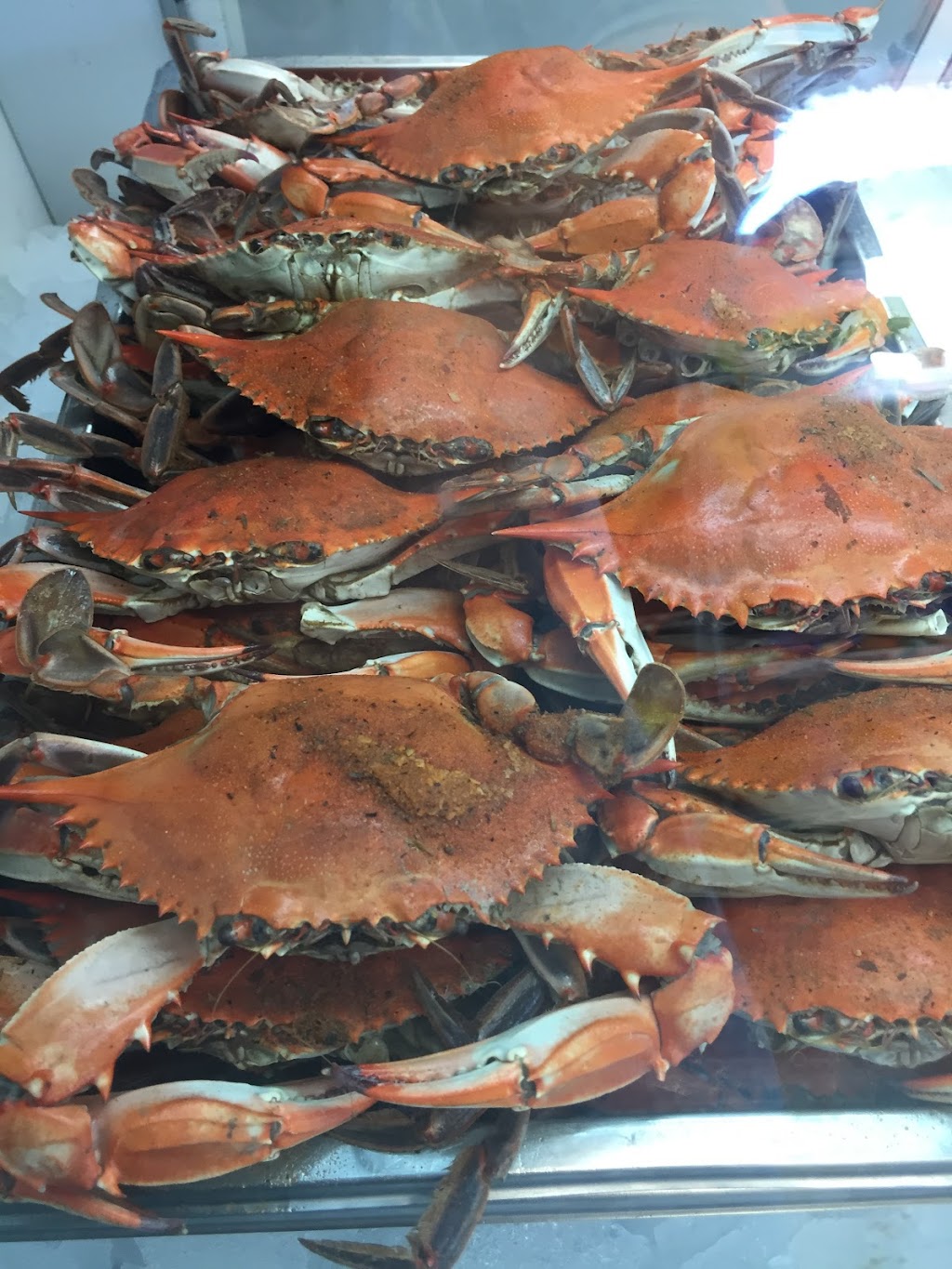 Frog Island Seafood Inc | 3997 Caratoke Hwy, Barco, NC 27917, USA | Phone: (252) 453-2879