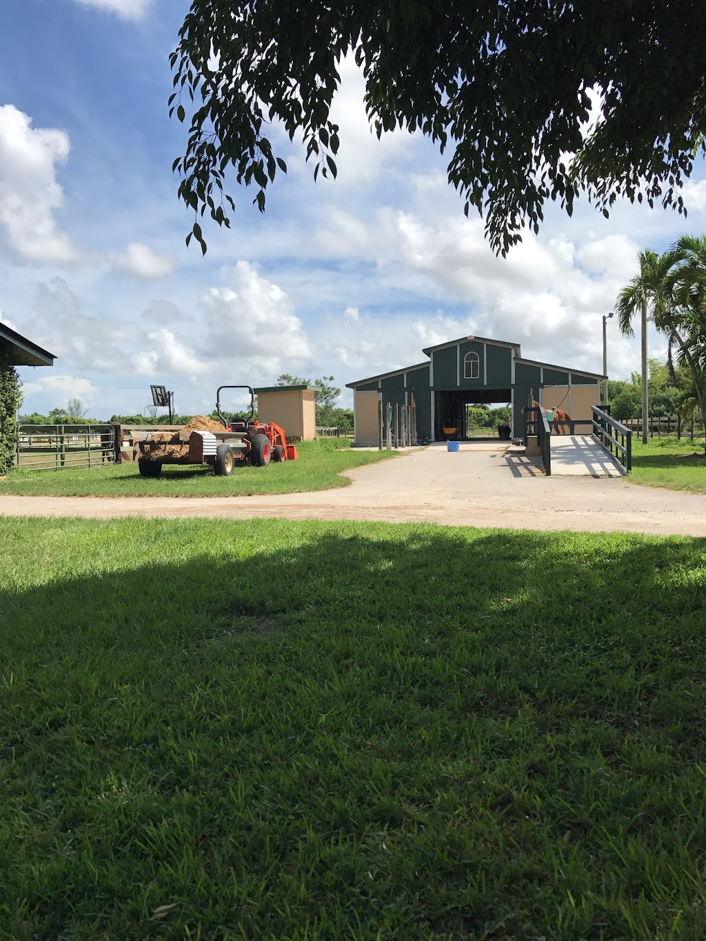 Good Hope Equestrian Training Center | 22155 SW 147th Ave, Miami, FL 33170, USA | Phone: (305) 297-4729