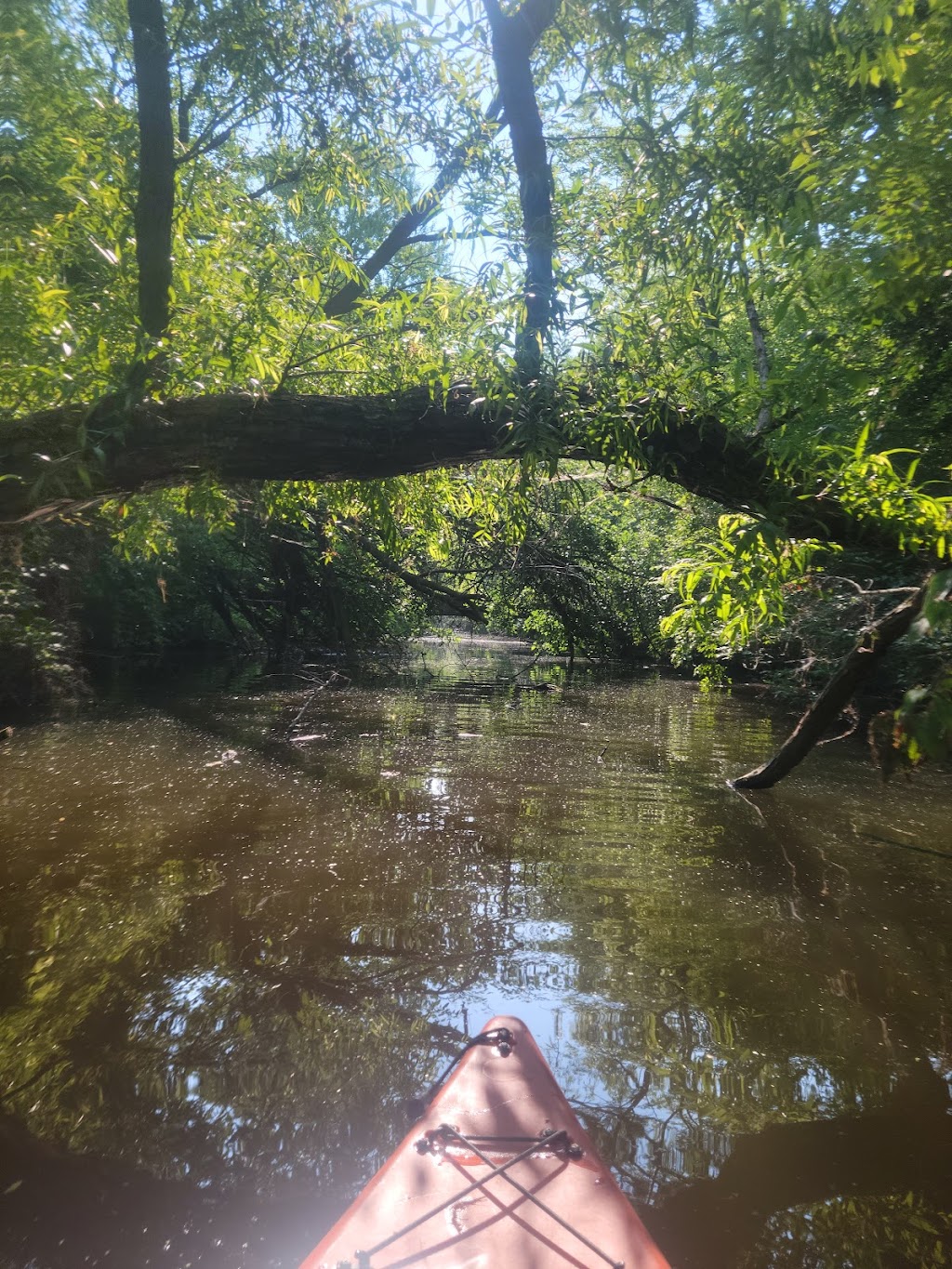 Benton Spillway ‒ River Preserve County Park | 68587 Co Rd 31, Goshen, IN 46526, USA | Phone: (574) 535-6458