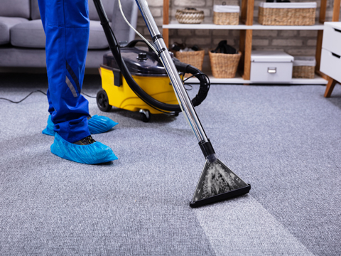 VerHagues Custom Carpets & Upholstery Cleaning | 234 Chestnut St, Fredonia, NY 14063, USA | Phone: (716) 672-6757