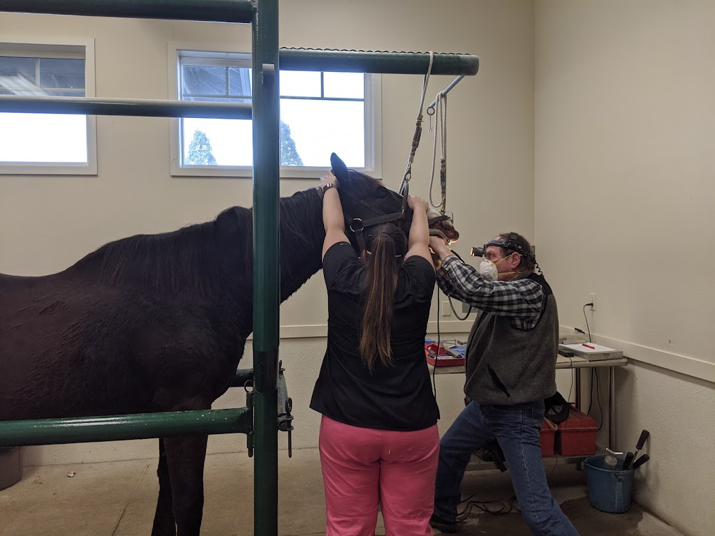 Equus Veterinary Service | 14671 S Leland Rd, Oregon City, OR 97045, USA | Phone: (503) 632-2100