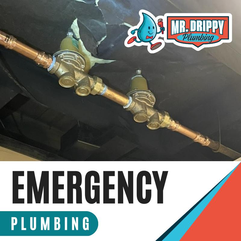 Mr. Drippy Plumbing | 137 W Oxmoor Rd ste 405, Birmingham, AL 35209, United States | Phone: (205) 855-5196