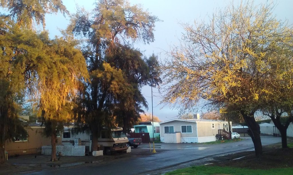 Three Palms Mobile Home & RV Park | 1941 N Golden State Blvd, Fresno, CA 93705, USA | Phone: (559) 500-4588
