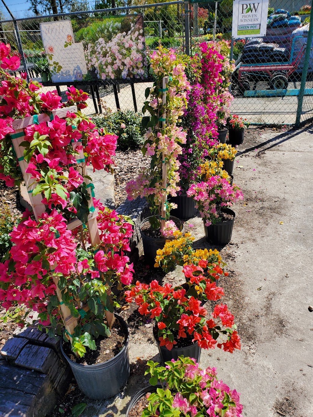 Plant Ranch Nursery | 14108 Beach Blvd, Jacksonville, FL 32250, USA | Phone: (904) 223-4546