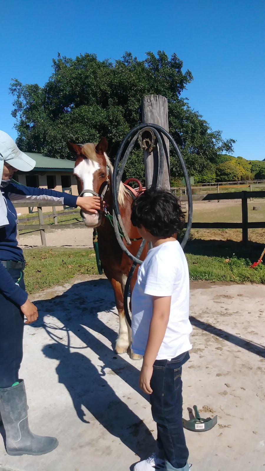 Good Hope Equestrian Training Center | 22155 SW 147th Ave, Miami, FL 33170, USA | Phone: (305) 297-4729