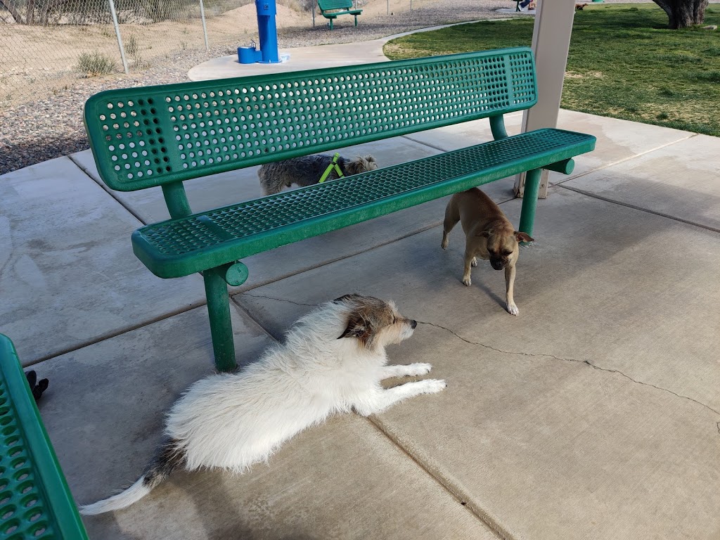 Anamax Dog Park | W Camino Mazatlan, Sahuarita, AZ 85629 | Phone: (520) 445-7850